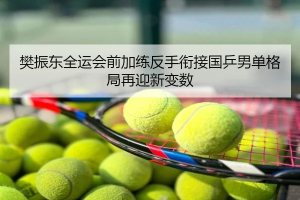 樊振东全运会前加练反手衔接国乒男单格局再迎新变数