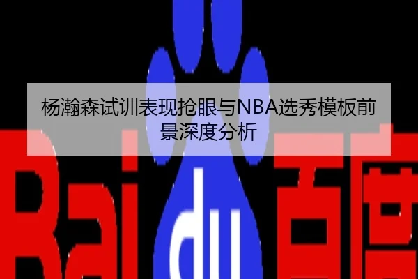 杨瀚森试训表现抢眼与NBA选秀模板前景深度分析